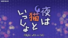 Nights with a Cat ค่ำคืนกับแมวเมียว ตอนที่ 10 ซับไทย