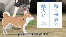 Sekai no Owari ni Shiba Inu to ตอนที่ 27 ซับไทย