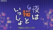 Nights with a Cat ค่ำคืนกับแมวเมียว ตอนที่ 18 ซับไทย