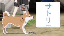 Sekai no Owari ni Shiba Inu to ตอนที่ 37 ซับไทย