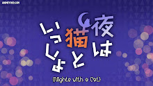 Nights with a Cat ค่ำคืนกับแมวเมียว ตอนที่ 20 ซับไทย