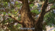 Ginga Eiyuu Densetsu Die Neue These Sakubou ตอนที่ 08 ซับไทย